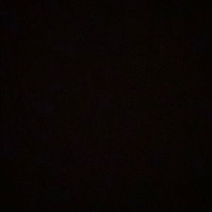 Meet your Posher, Autum